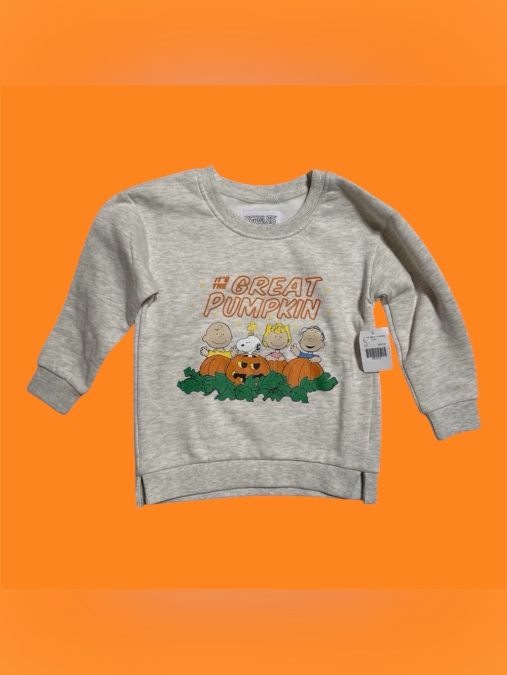 Peanuts "It's the Great Pumpkin" Halloween Thanksgiving sweatshirt 5Y NWT